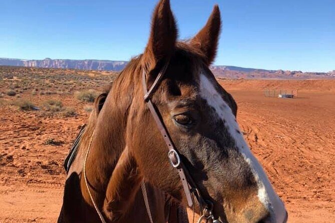 1-Hour Page Horseshoe Bend Trail Ride - Getting the most out of Horseshoe Bend beyond the viewpoint