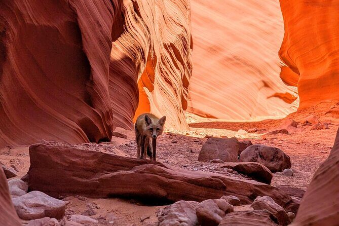 Antelope Canyon Kayak and Hike Slot Canyon - Timing: When to Book for Calmer Conditions and Better Light