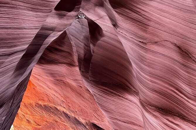 Antelope Canyon Lake Powell Guided Kayaking and Hike Tour - Swimming in Lake Powell: the cool-down you’ll actually remember