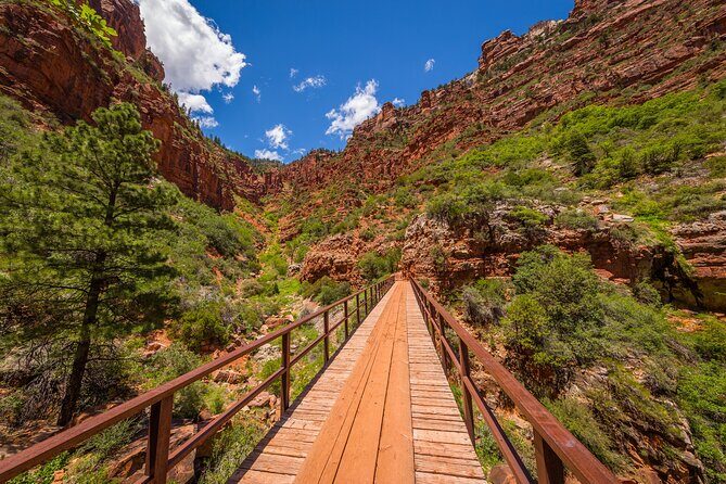 Grand Canyon North Rim Full-Day Self-Guided Tour - North Rim viewpoints in a single run: Point Imperial, Vista Encantada, Roosevelt Point