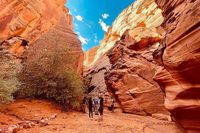 Grand Canyon South Rim, Antelope Canyon and Horseshoe Bend Tour - Lower Antelope Canyon: Ladders, Narrow Passages, and Light