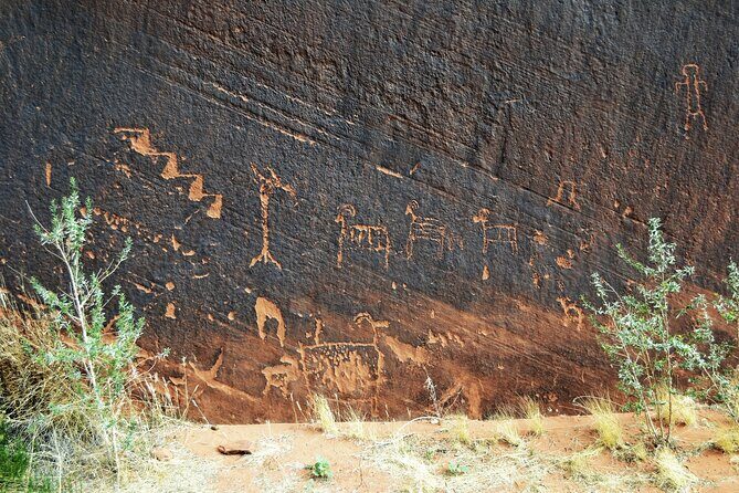 Horseshoe Bend Rafting Trip in Page - Wildlife and Canyon Science: The Guide Makes the Ride Click