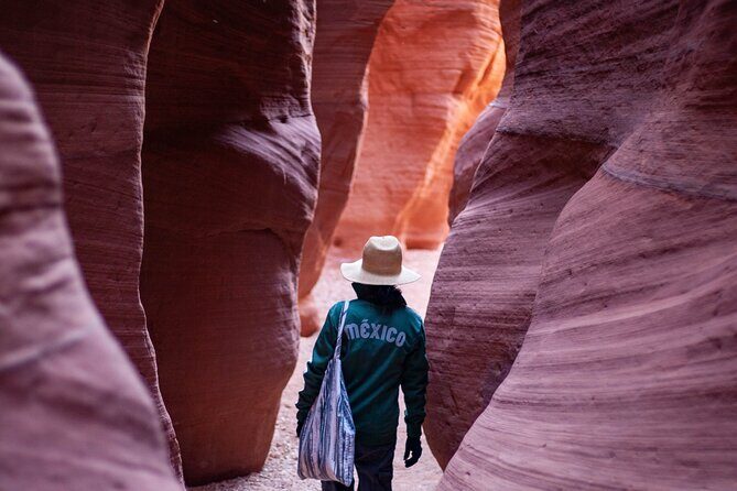 Private Guided Buckskin Gulch Tour Via Wire Pass - What your guide will teach you (and why it’s worth it)