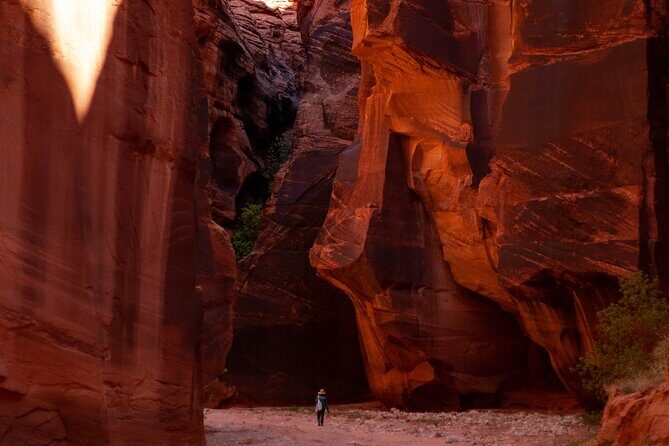 Private Guided Buckskin Gulch Tour Via Wire Pass - Price and value: $325 per person, private and permit-included