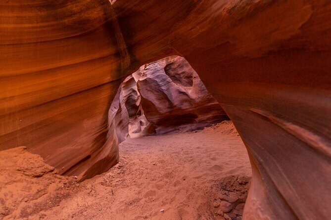 Rattlesnake Canyon Tour-AACT - Price and value: is $167 fair for one hour?