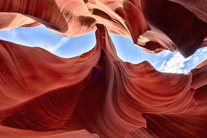 Upper or Lower Antelope Canyon & Horseshoe Bend Tour from Page - Price and what makes $230 feel fair (or not)