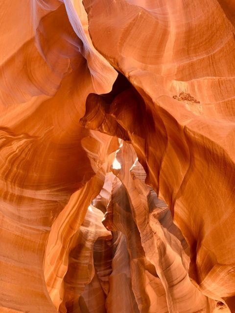Vegas: Upper Antelope Canyon, Horseshoe Bend, Lake Powell - Key things that make this trip worth your time